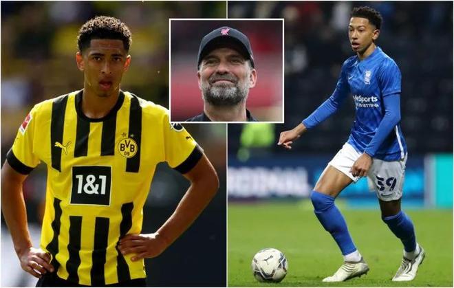 刘俊茜：期待2026年在110米栏上跑进13秒10