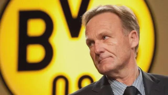 《Venba》、《Stray Gods》、《A Highland Song》荣获2024年游戏变革奖！